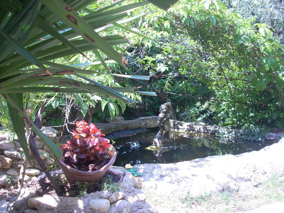 La Sapiniere -Chambres Climatisees Buisson Bagian luar foto